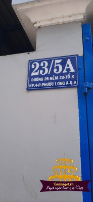 hinh-anh