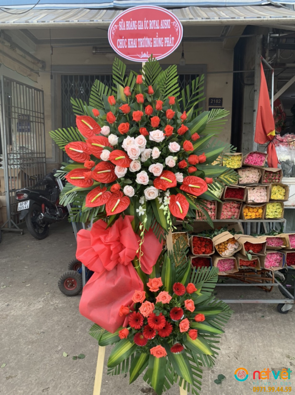 hinh-anh