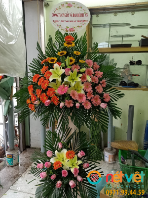 hinh-anh