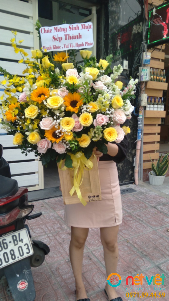 hinh-anh