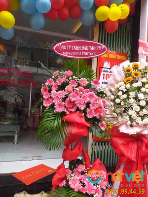 hinh-anh