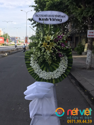 hinh-anh