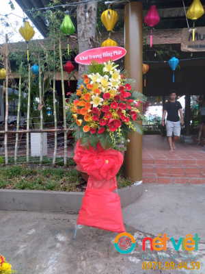 Hoa chúc mừng