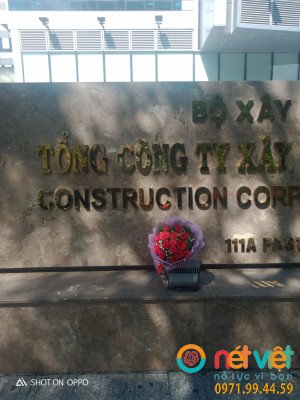 Hoa sinh nhật
