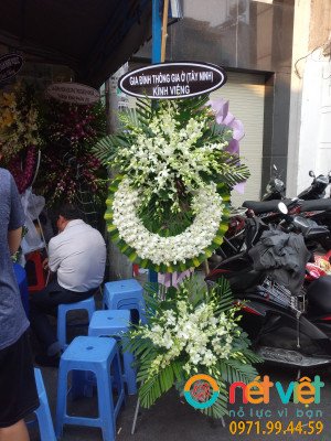 Hoa Viếng