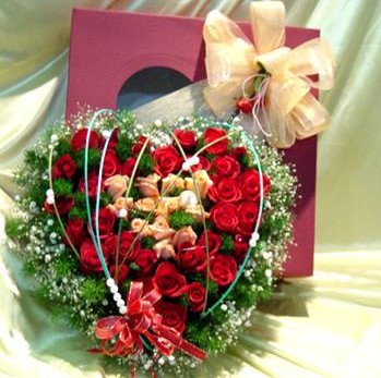 Hoa hộp giấy ở Kiên Giang